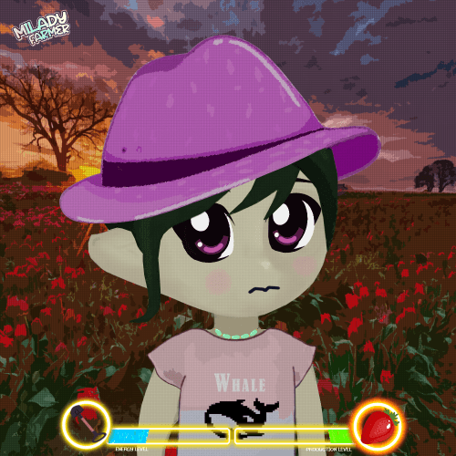 Milady Farmer 31