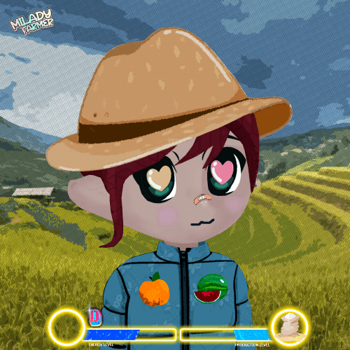 Milady Farmer 47