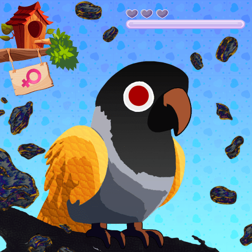 Lovebird Farm #404