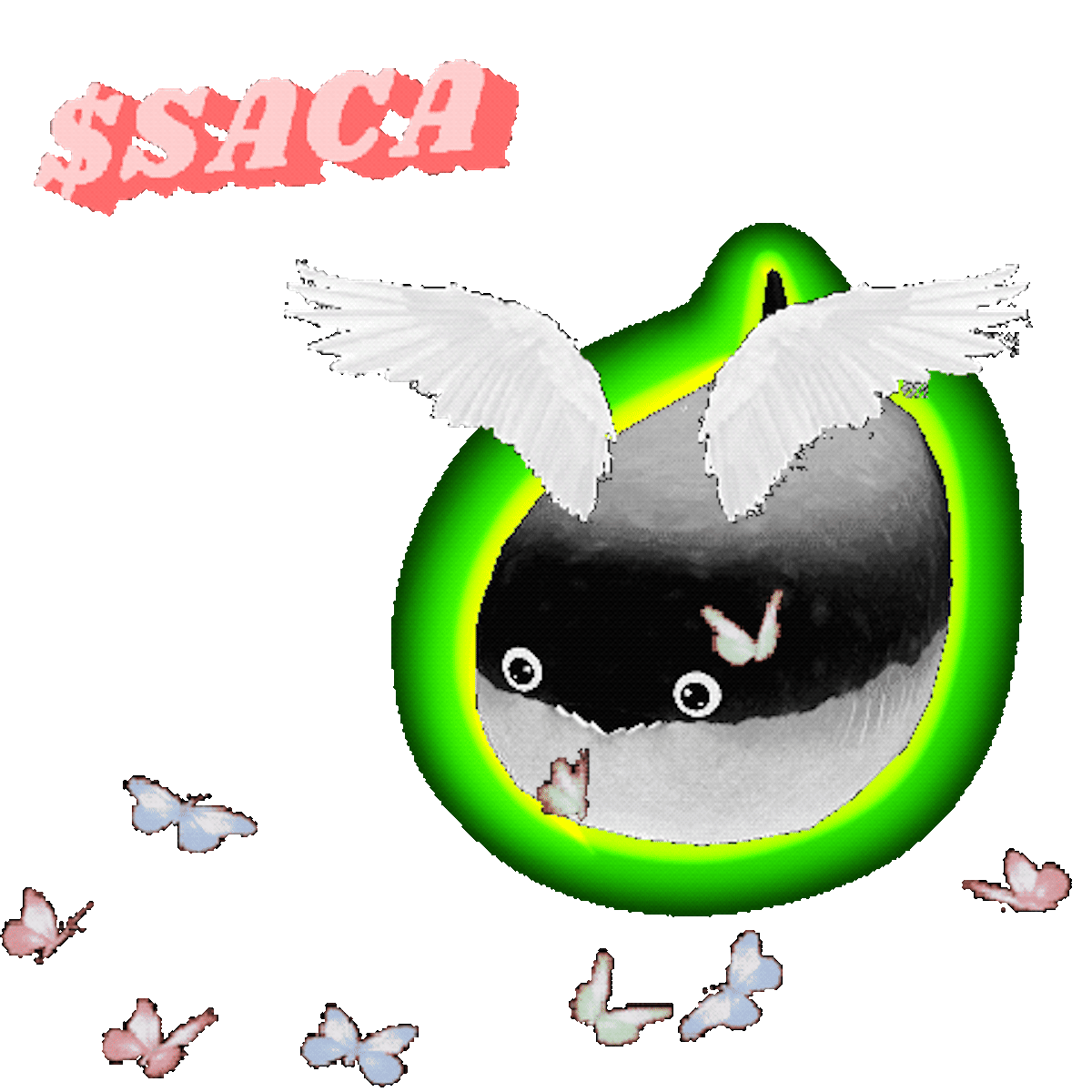 sacabambaspis #916