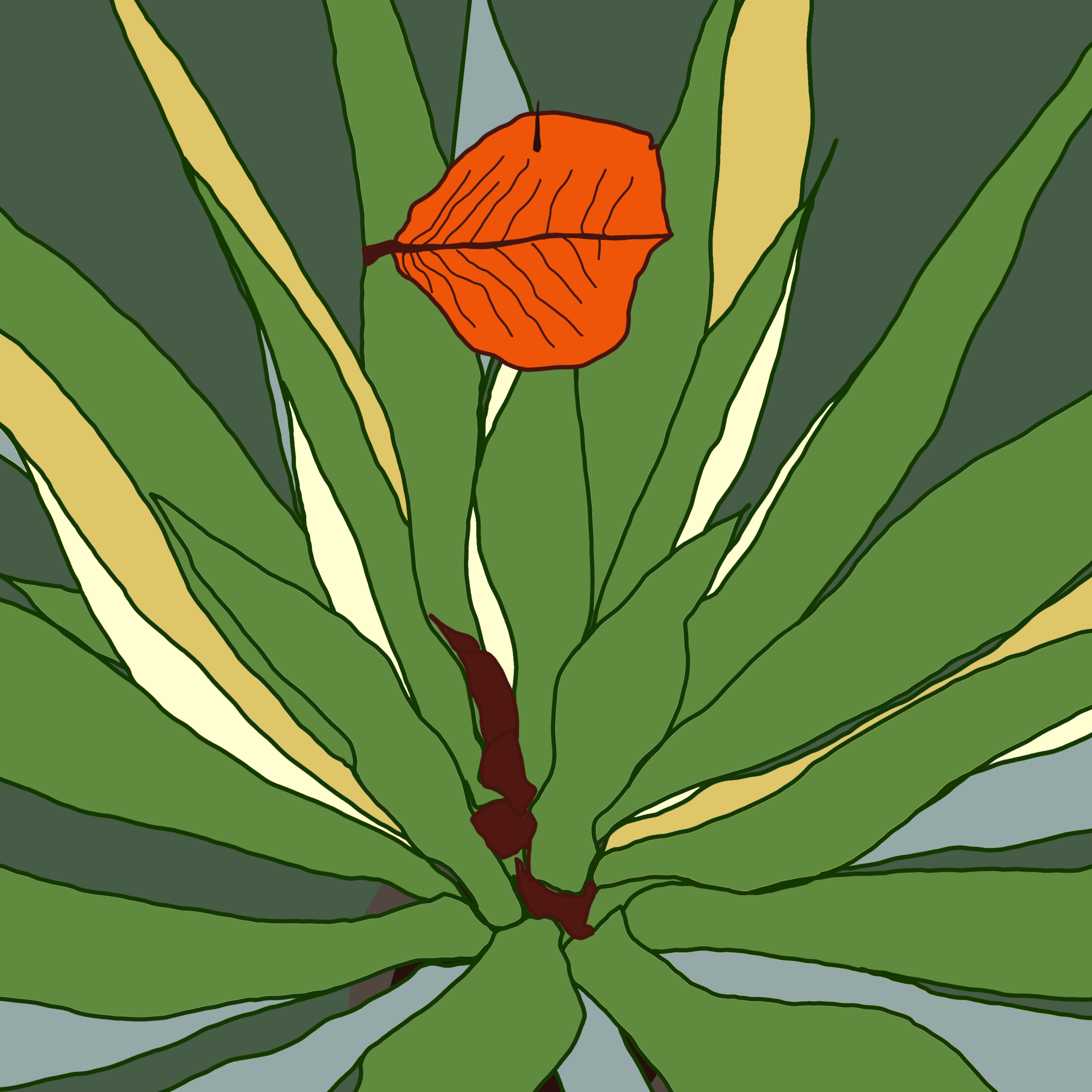Some Garden Days #1