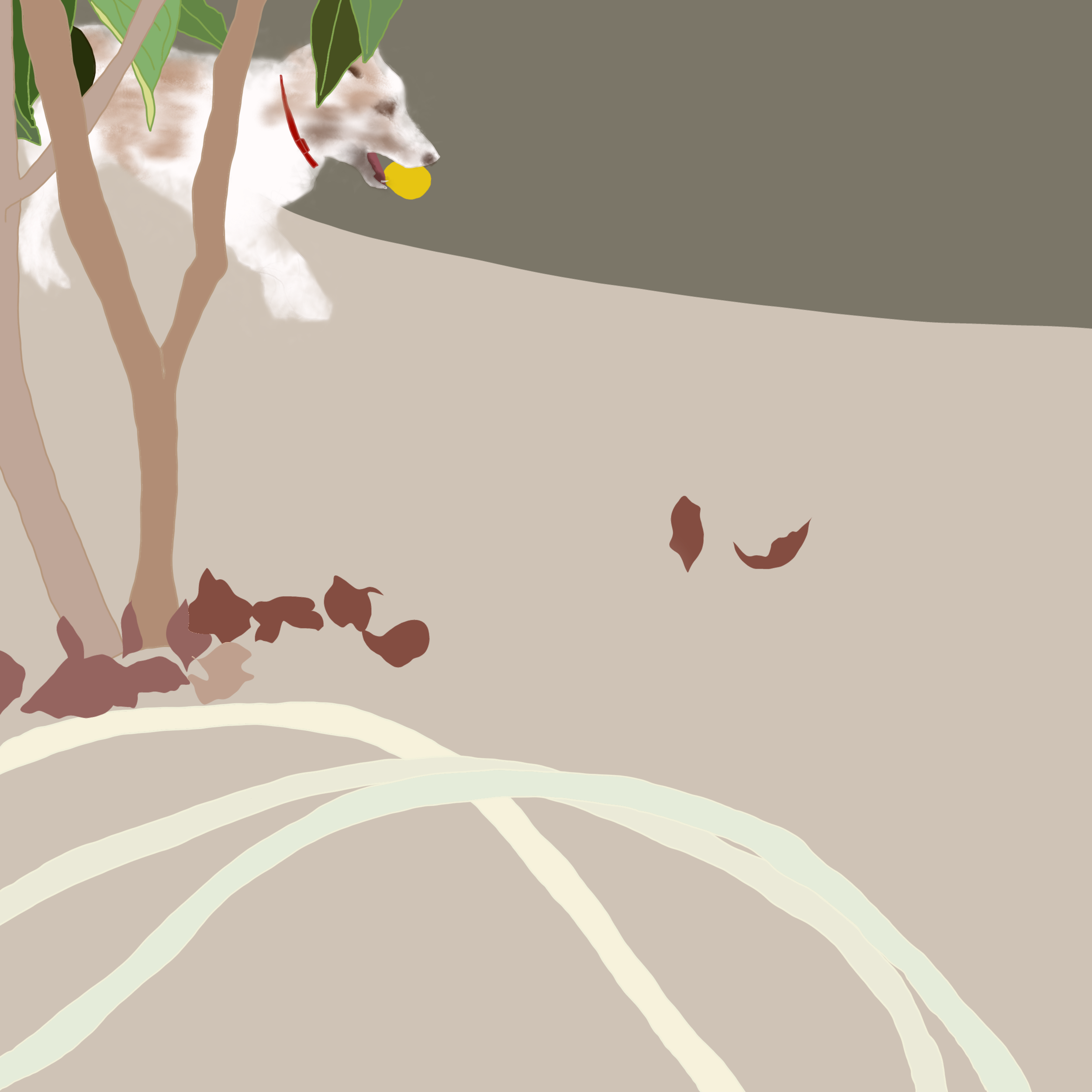 Some Garden Days #22