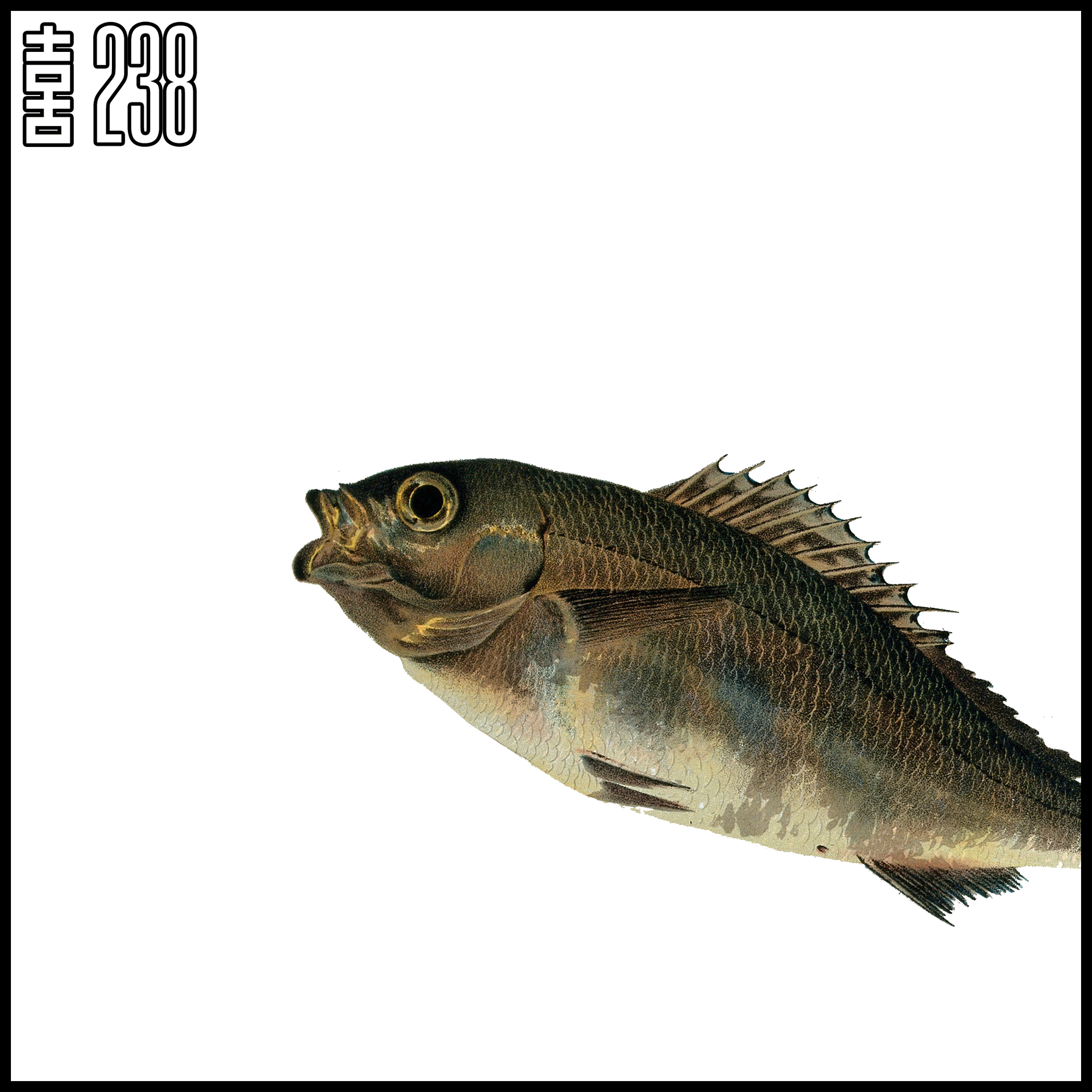 Bloc 喜238: Launch Out Into The Deep