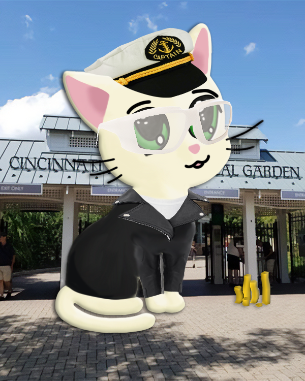 Meowlady #494