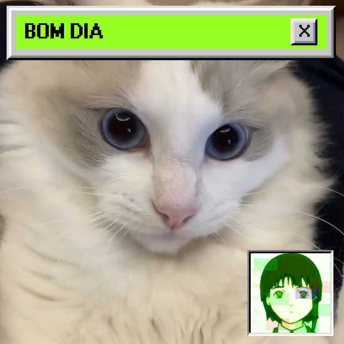 Bomm #176