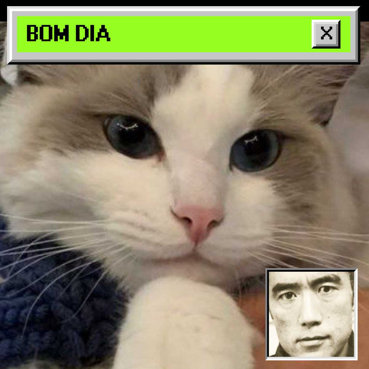 Bomm #55