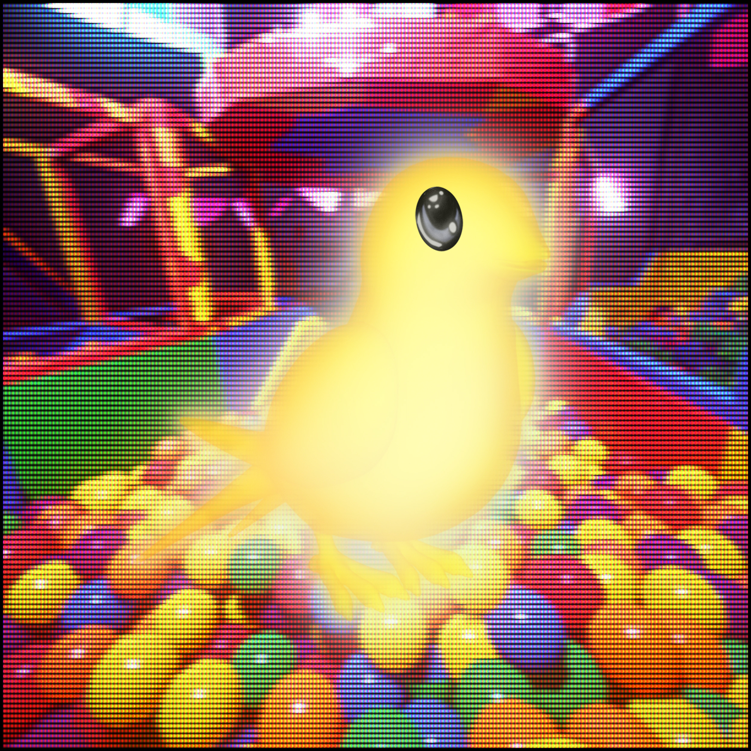 AURA PETZ #891