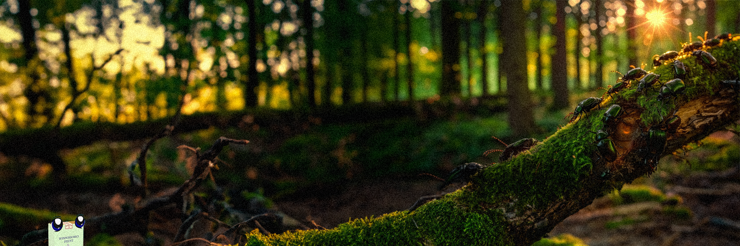 Moss Banners #52