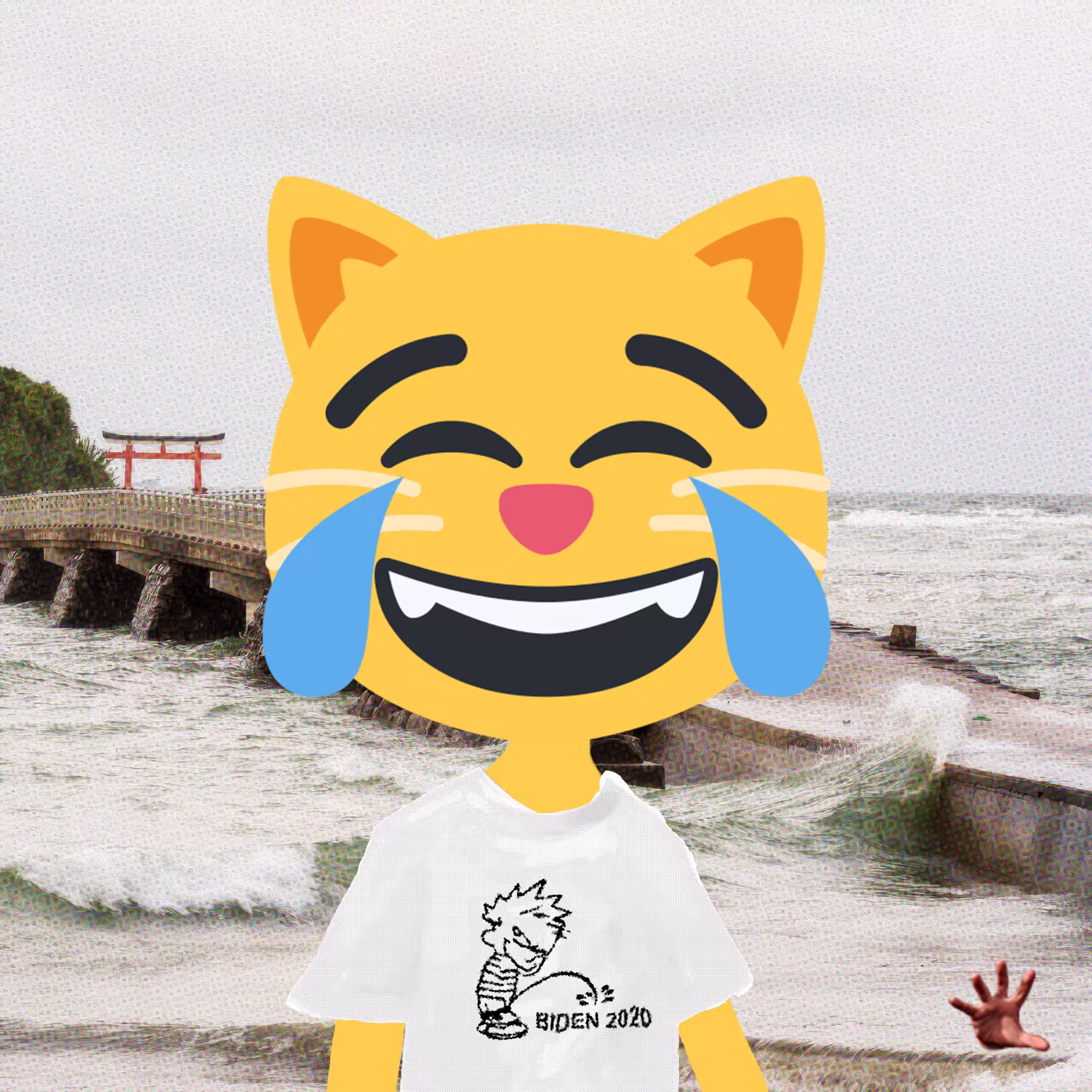 Joycat Maker #26