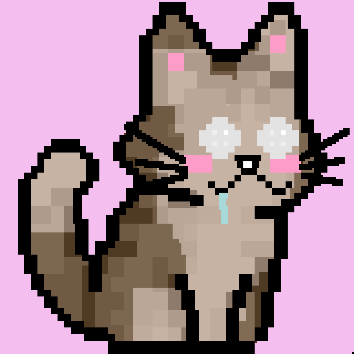 CATAMIGOS.XYZ #62